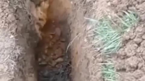 Definitivamente así no 🥹.mp4