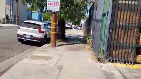 Shia, video recorded 11:20 AM August 23, '25 Part 2-4 by Alyssa North Peer Rd. Los Angeles, CA