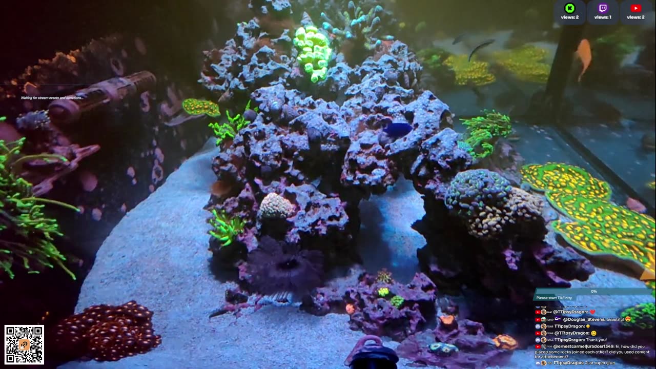24/7 Real Live Reef Stream