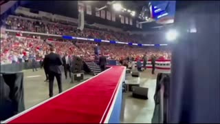 BACK TO LIGHT EPISODE 16: Synchronicities In The Great Awakening