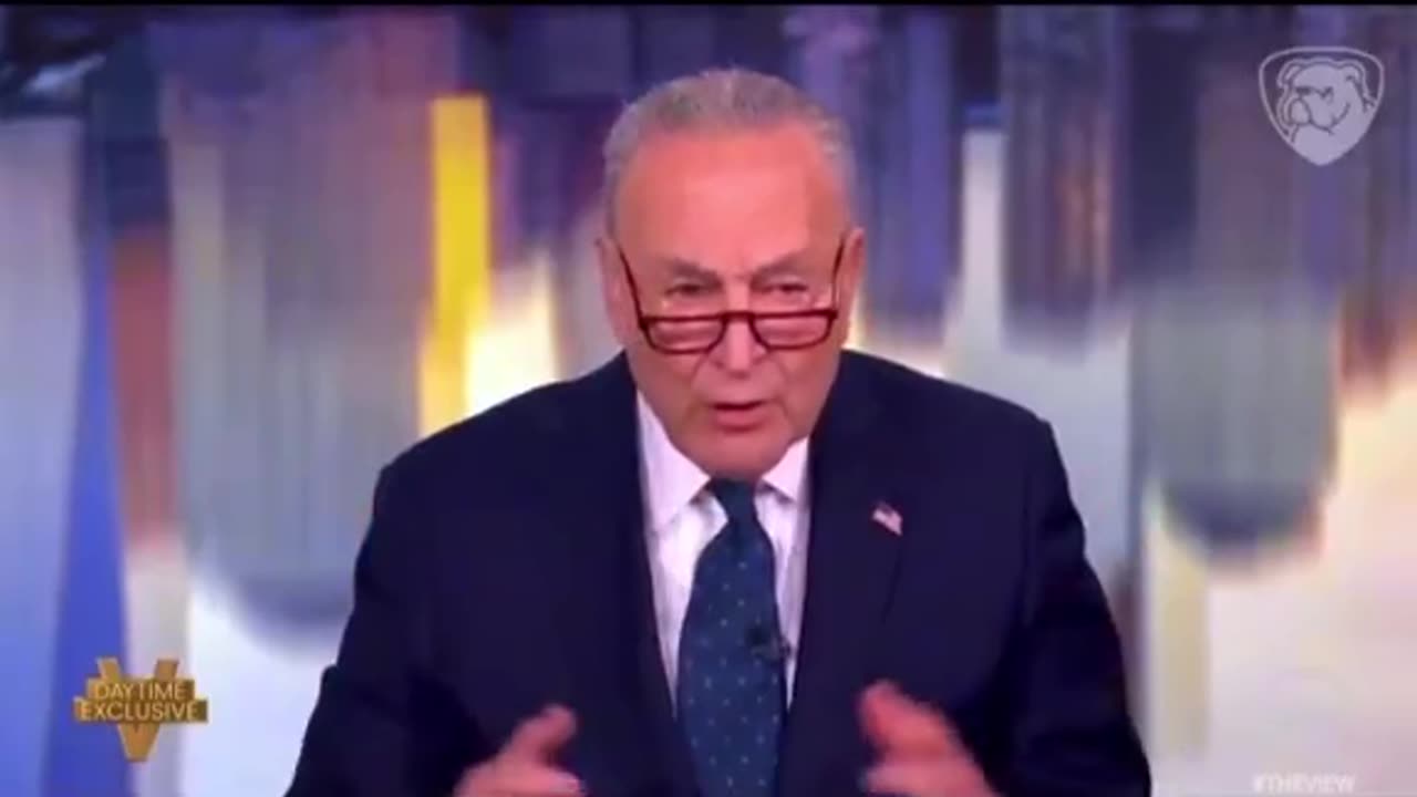 Schumer calls Americans "greedy" for wanting less governme...