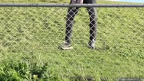 How Animals Get Over a Fence (With Emojis)😂