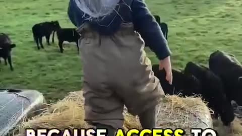 Build a Life of Freedom