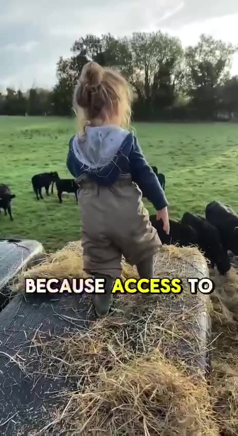 Build a Life of Freedom