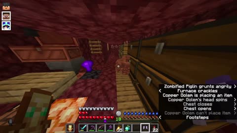 Minecraft Tough as Nails 8