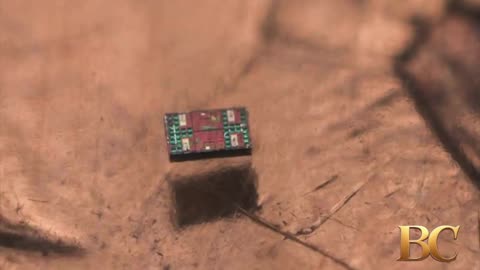 Scientists Create Robots Smaller Than Grain of Sand