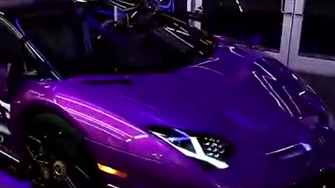 Purple Lambo