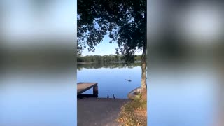 Firefighting helicopter crashes into pond in France