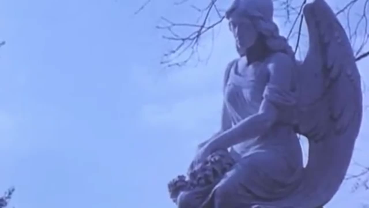 $UICIDEBOY$ - Carried Away (Feat. Night Lovell) (Video)