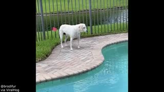 Must Watch: He Somehow Survived This