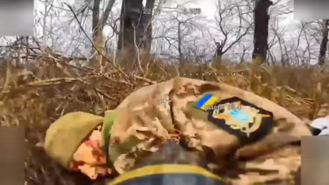 Ukraine war related/combat footage 11/24/25