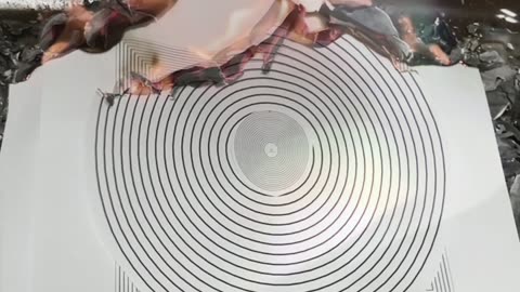 Tim Rifat TikTok Videos