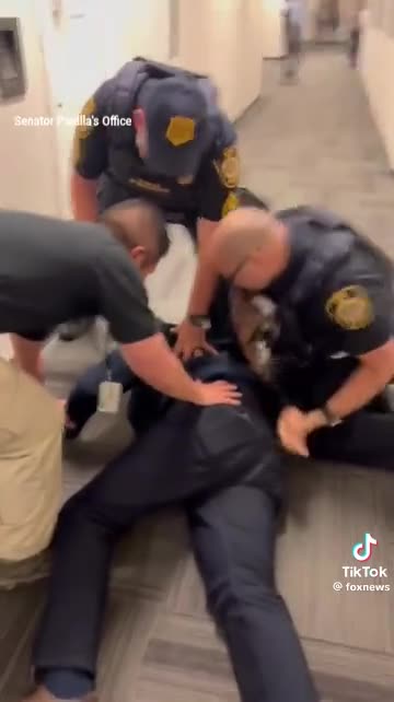 BAD BOYS BAD BOYS SENATOR BEING ARRESTED