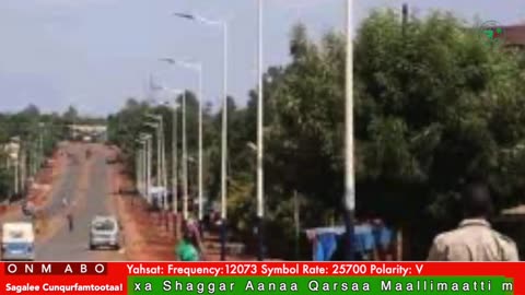 Oduu Galgala ONM-ABO Sadaasa 20-2025 itti dhiyaadhaa!