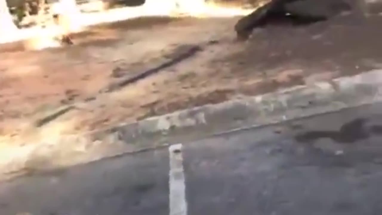 Eisha and cari from Instagram fighting