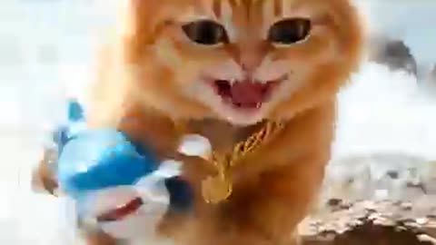 Comedy video
