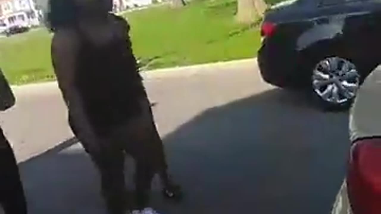 LiveLeak-dot-com-c65_1495577665-GhettoFight_1495578236.mp4