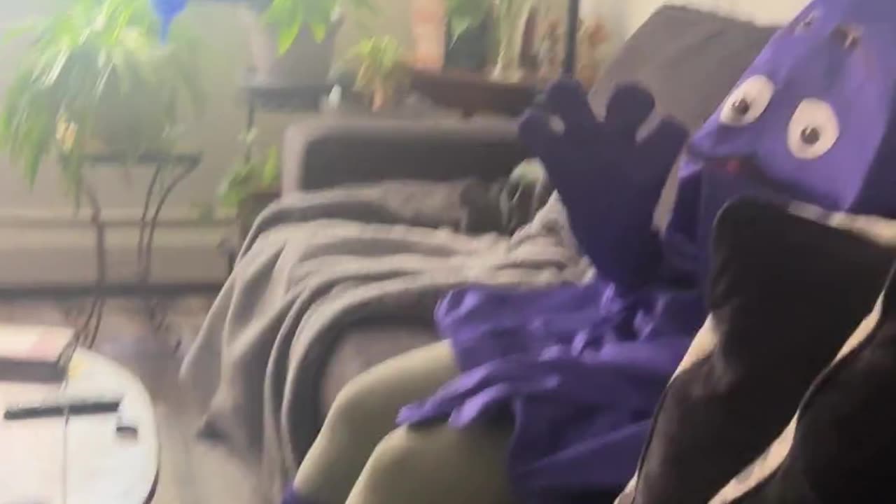 😂🐱 Cat Chairs: The Most Unexpected Setup! | FunFM