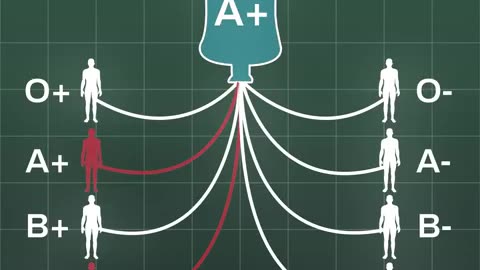 Understanding how blood types work