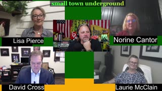 Live panel with David Cross, Lisa Pierce, Norine Cantor, Laurie McClain