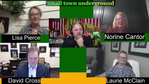 Live panel with David Cross, Lisa Pierce, Norine Cantor, Laurie McClain