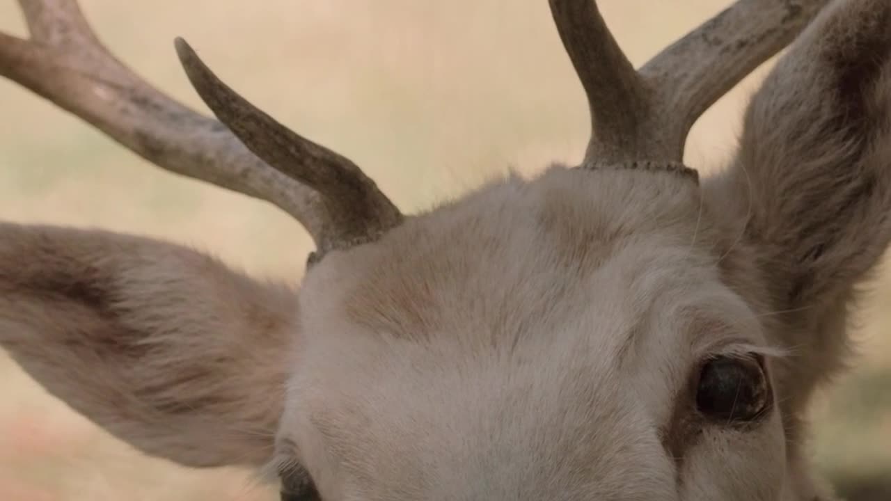 Be always in the Now