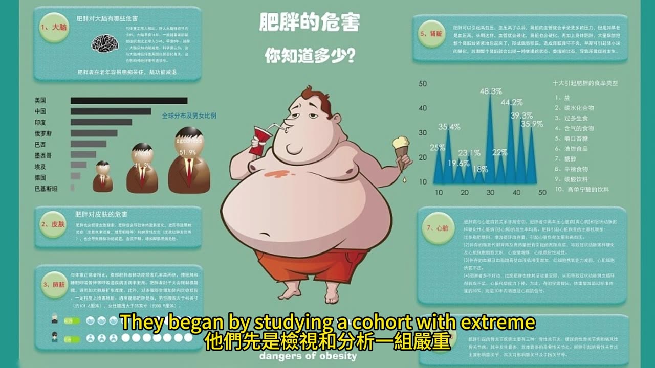 減肥反彈揭祕 細胞肥胖記憶