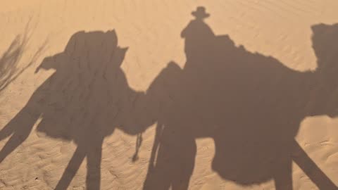 Camel shadows, April 5, 2025
