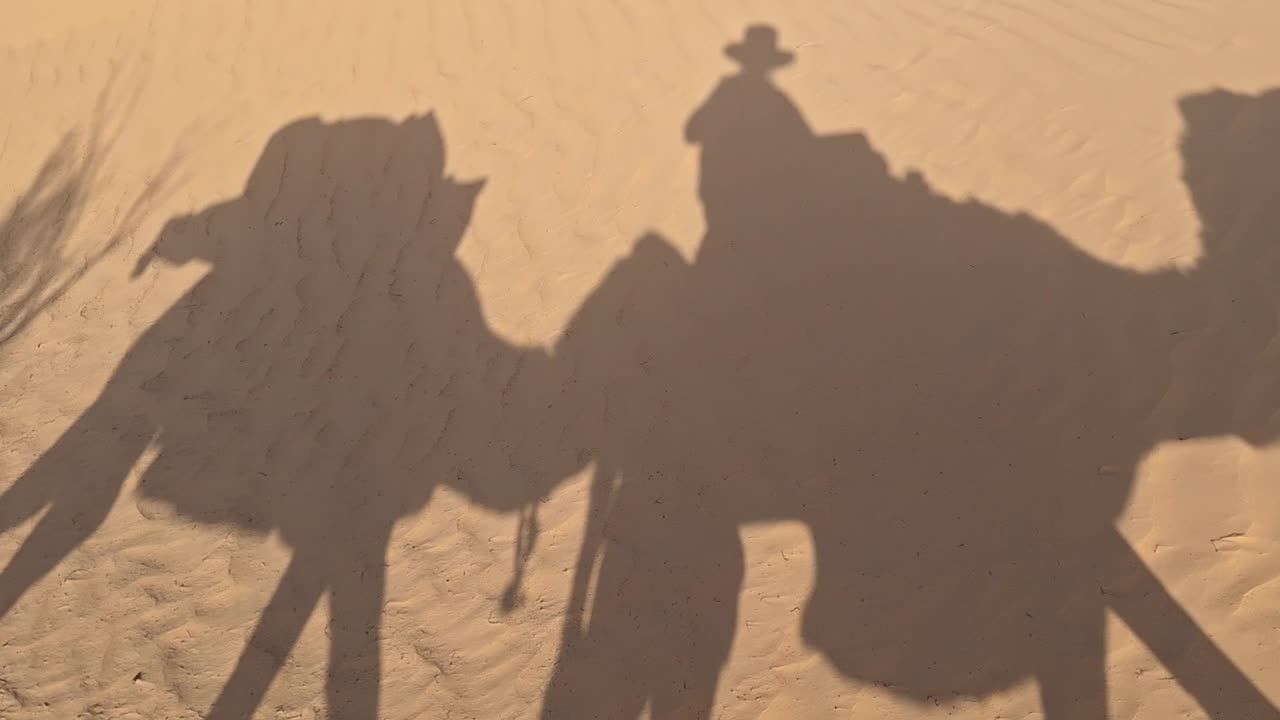 Camel shadows, April 5, 2025