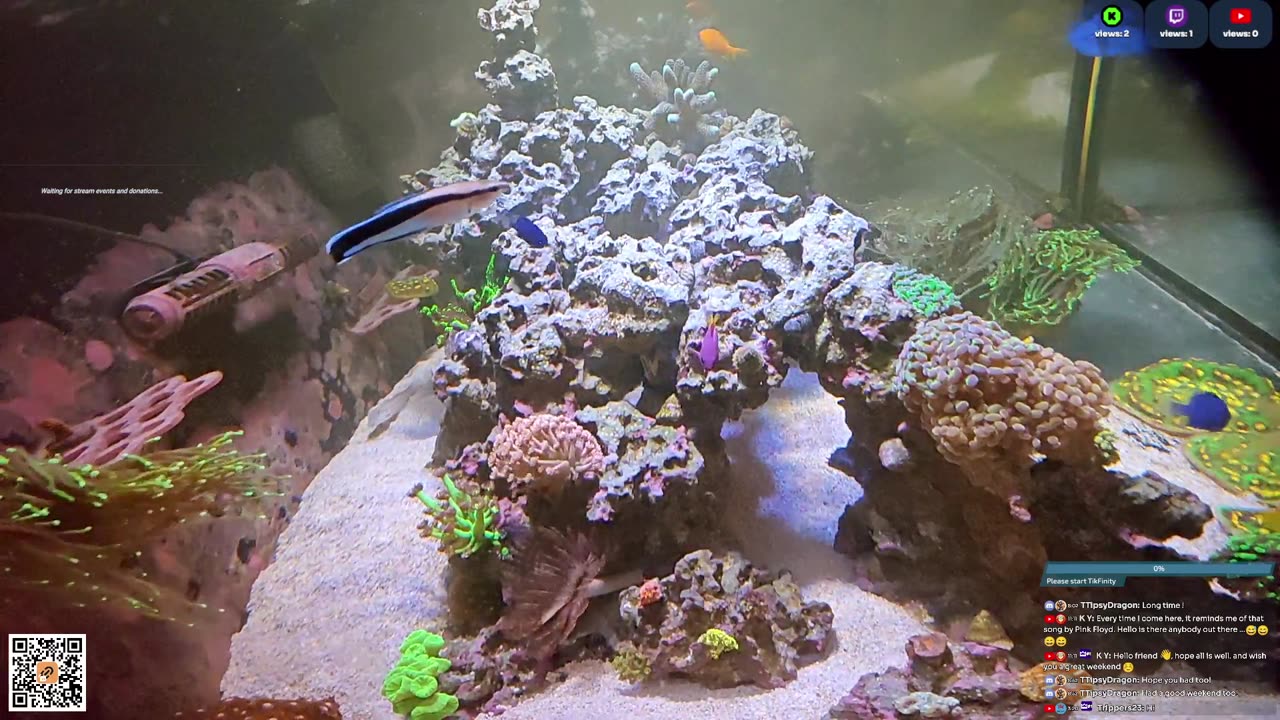 24/7 Real Live Reef Stream