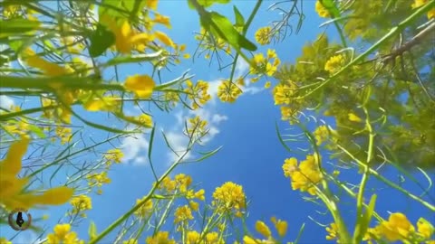 Drift Over Eden | Nature's Paradise