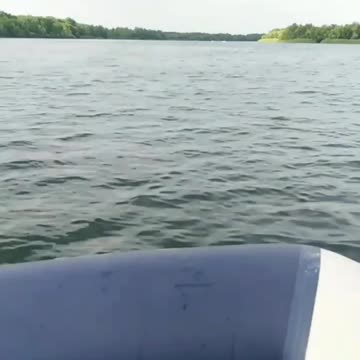 Motor boat trips on Lake Selyava