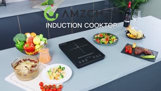 Portable Induction Cooktop 20 Temperature & Power Levels, 1800W Induction Stove