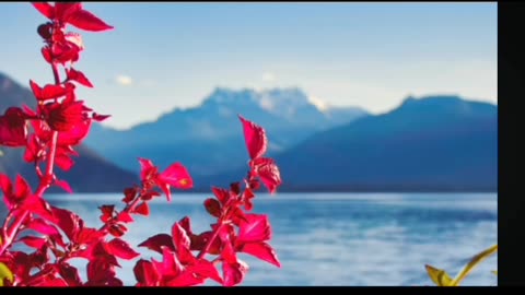 Awen to Hidden True Crime: Consider The Streisand Effect