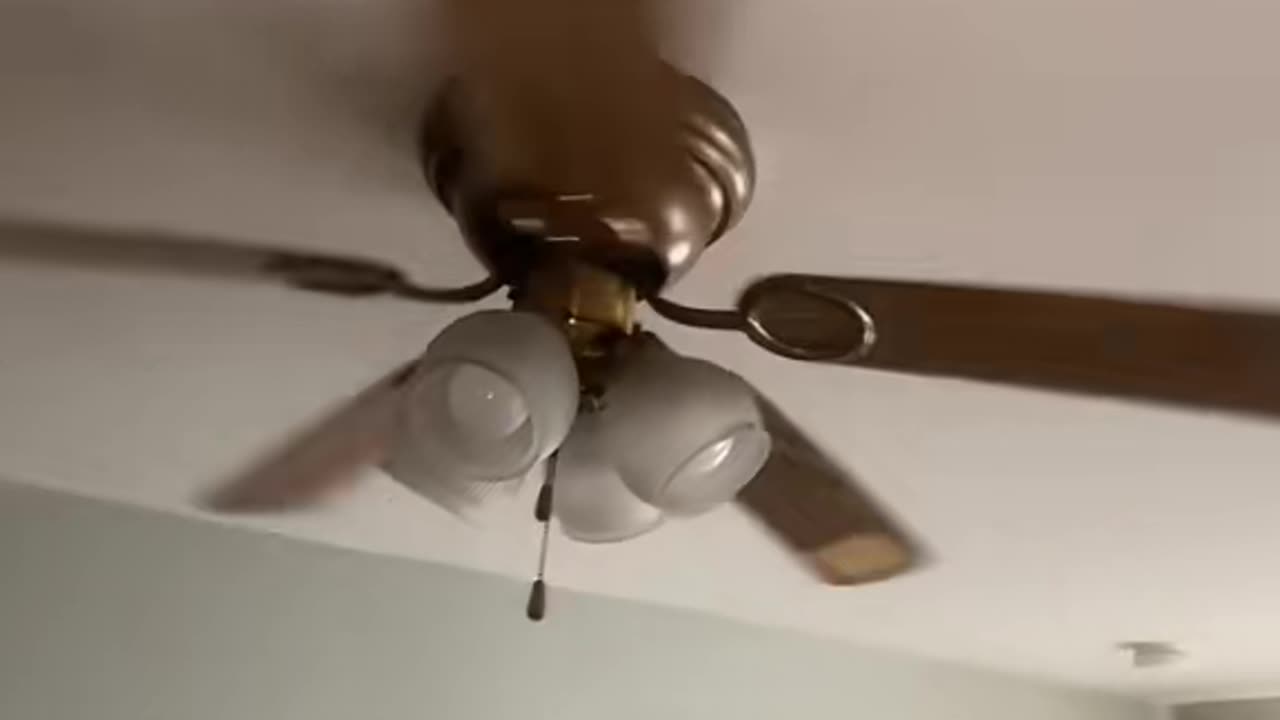 Let's Put Cheese on My Ceiling Fan and See How Long It'll Last