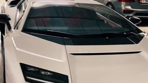 ✨💎 Dubai’s Exotic Cars Sparkle in this Stunning Showcase! | LuxurySportsCars