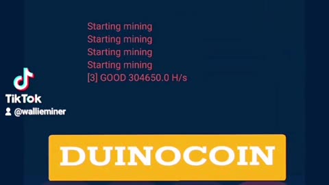 Duino Coin Mining