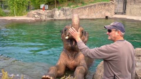 👋saying' good bye'😥😭 elephant