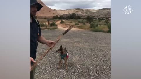 Animals, cute 🥺🥰 funny, you need to see now, 😍🌈😍 cute ohh my gosh