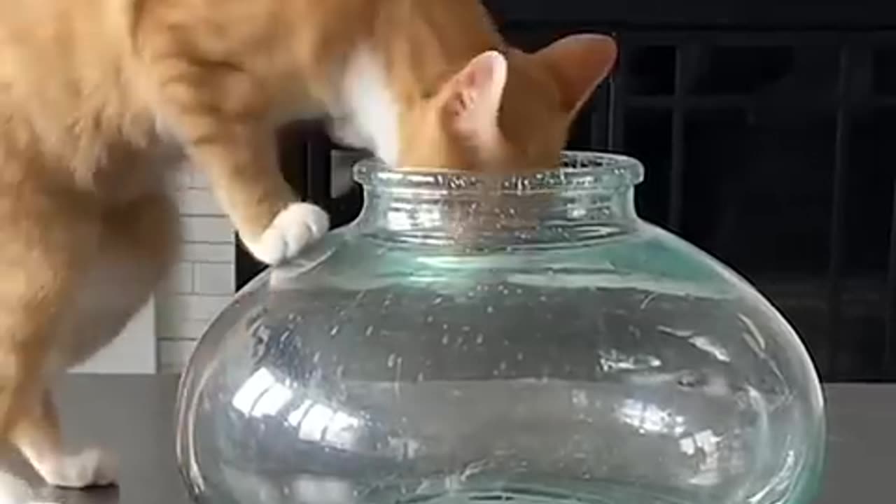 Or worse yet, an Electric EEL