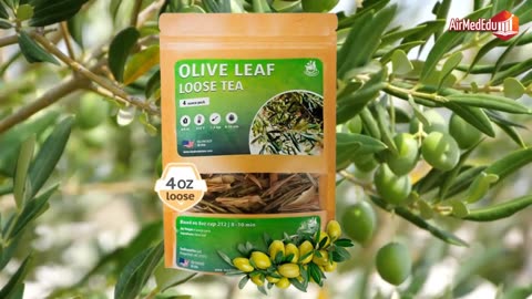 Olive Leaf Tea, Effects and Benefits, Dosage, Side Effects