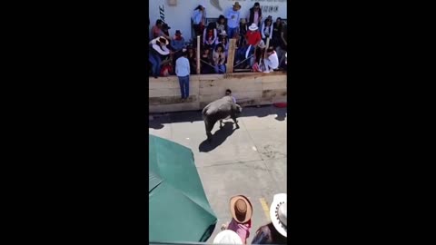 Daddy Goat 24/7 - Out Of Context Memes & Videos