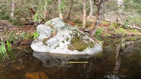 Rad Rock