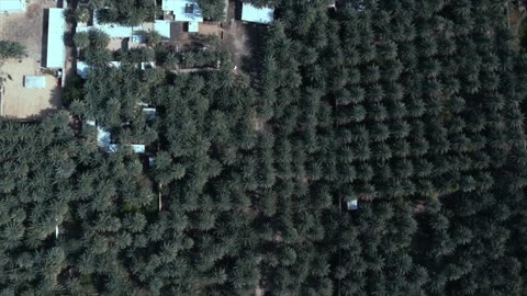 Саудовская Аравия: Священные Места и Тайны Древности — с компанией Идель Тур