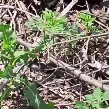 Ukraine war combat footage july 9 2025