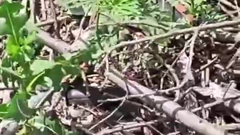 Ukraine war combat footage july 9 2025