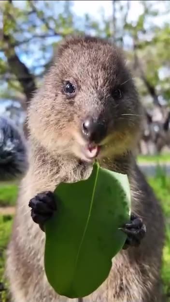 Me at the all you can eat restaurant 🤣