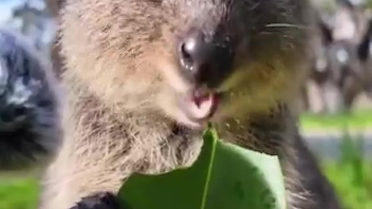 Me at the all you can eat restaurant 🤣