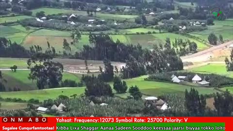 Oduu Waaree ONM-ABO Hagayya 11-2025 itti dhiyaadhaa!