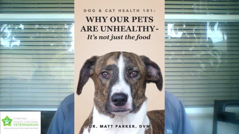 What to expect from this book- the philosophy